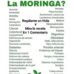 Descubre Cómo la Moringa Puede Transformar Tu Salud con Esta Receta Tradicional